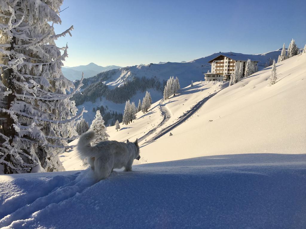 Ehrenbachhohe On Top Of The Mountain キッツビュール エクステリア 写真